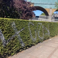Hedge graffiti - seriously?